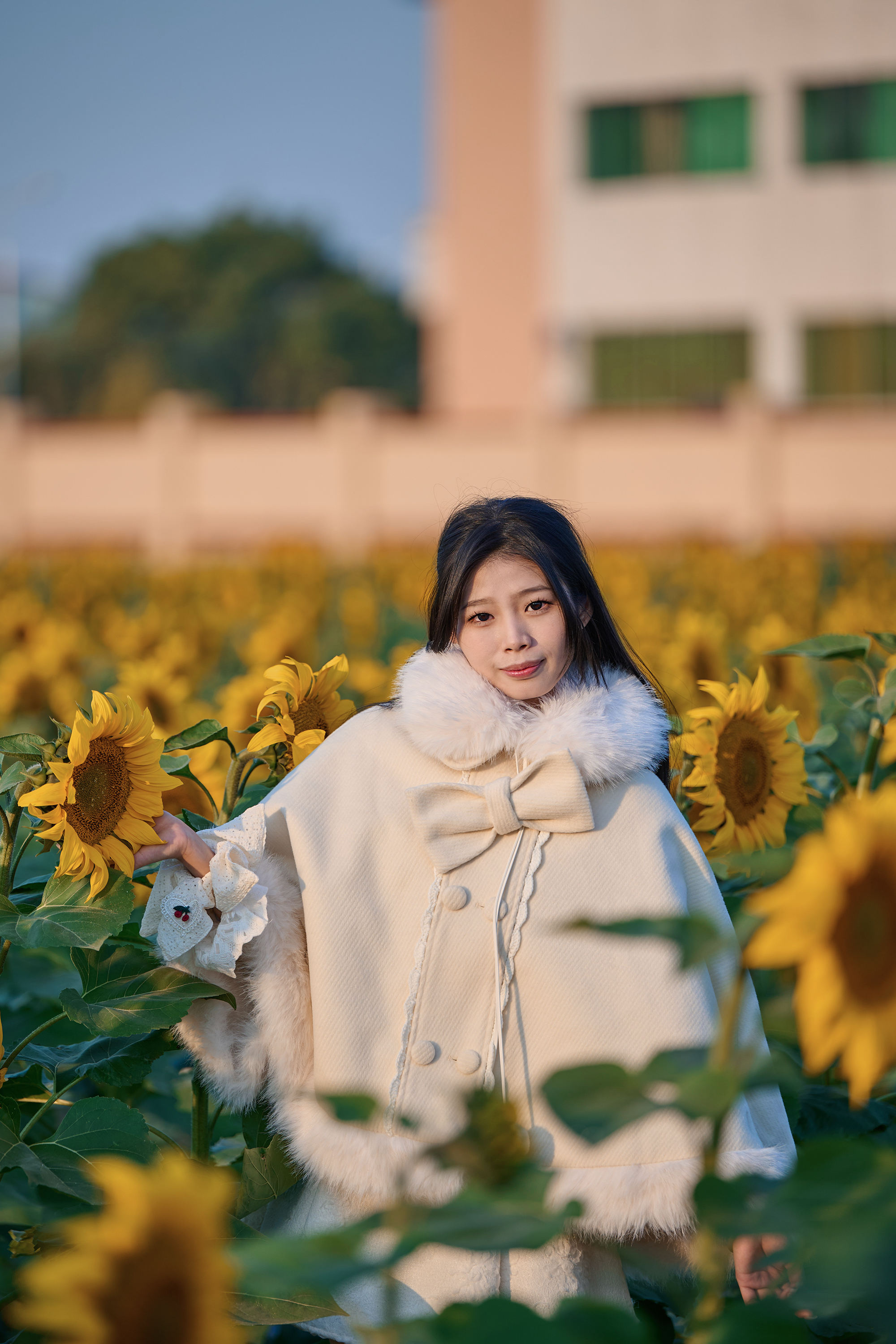东莞万江葵花海🌻🌟阳光花海里的温暖时光🌟-摄之社
