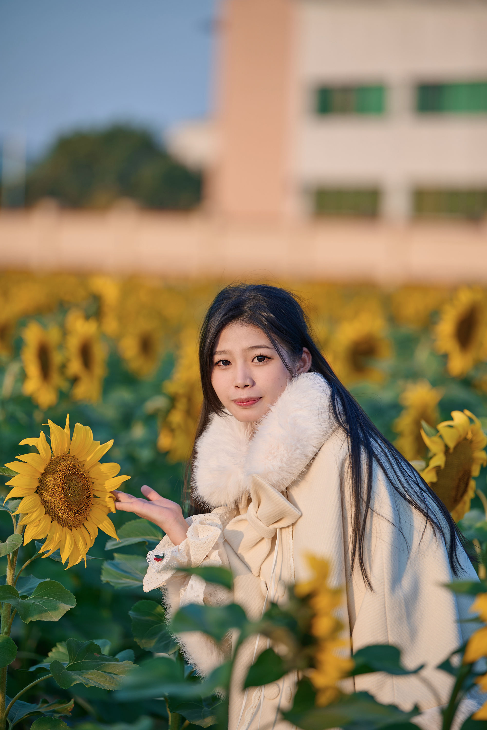 东莞万江葵花海🌻🌟阳光花海里的温暖时光🌟-摄之社