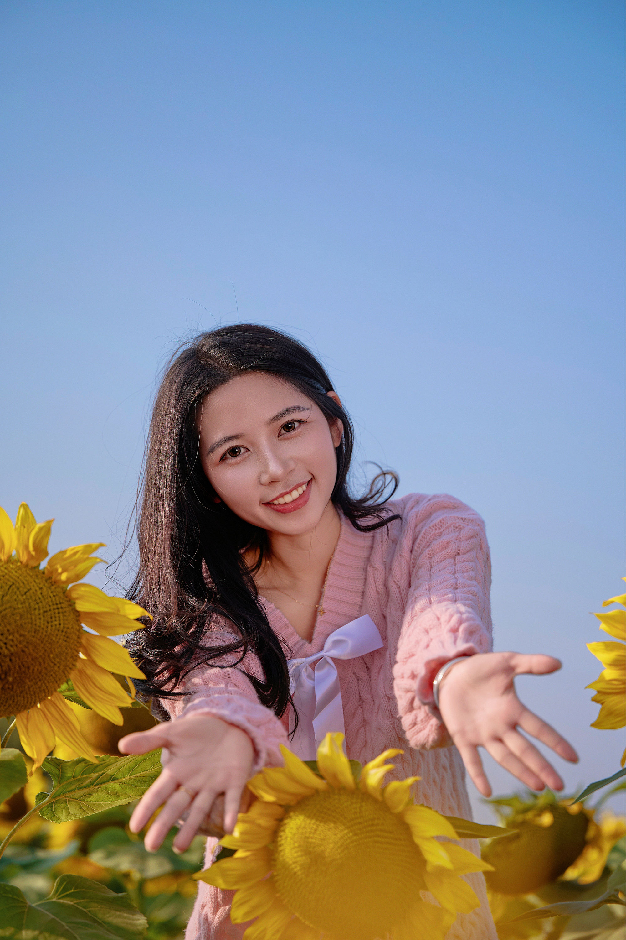 东莞万江葵花海🌻🌟阳光花摊葵花田🌟-摄之社