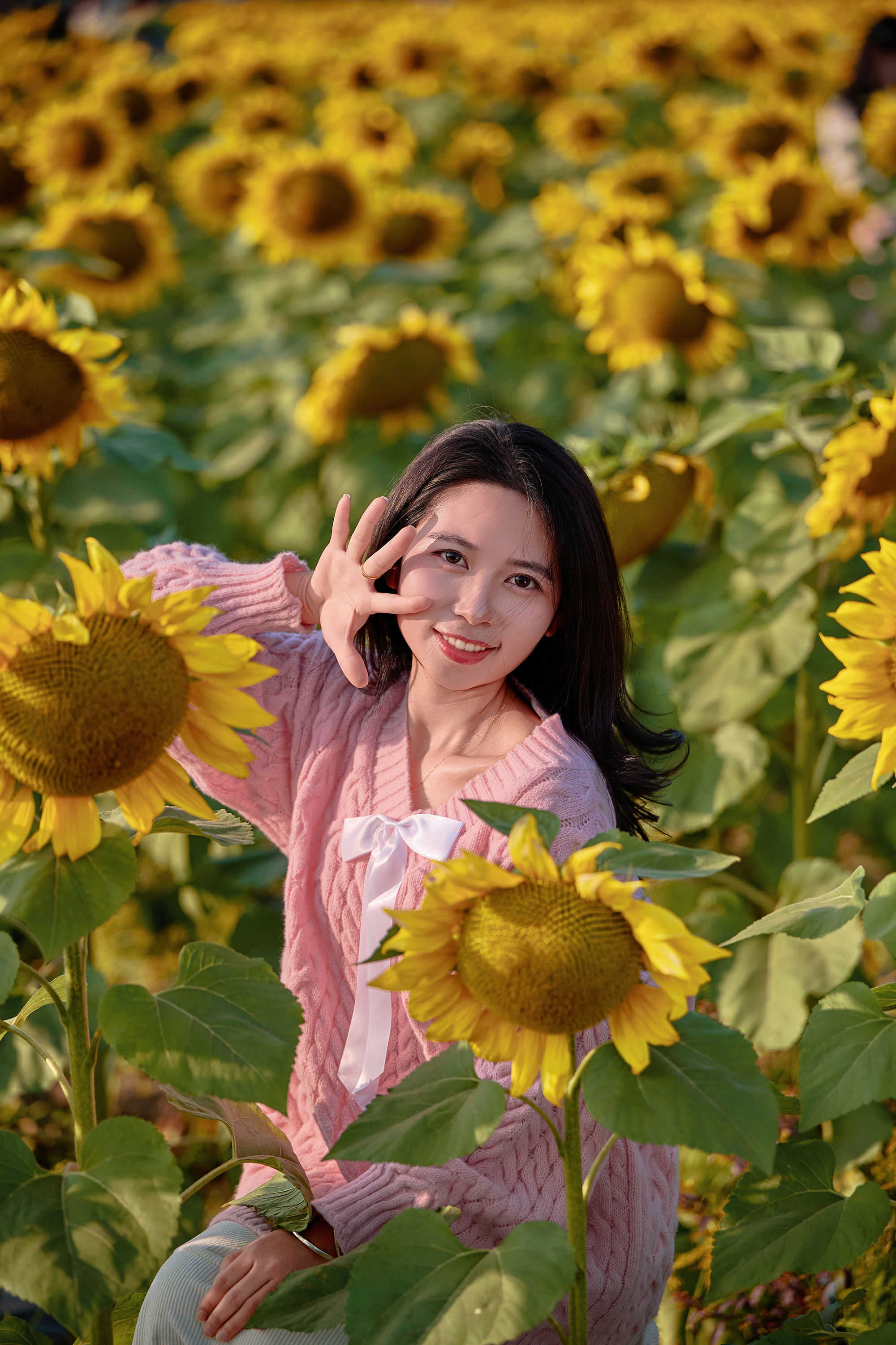 东莞万江葵花海🌻🌟阳光花摊葵花田🌟-摄之社