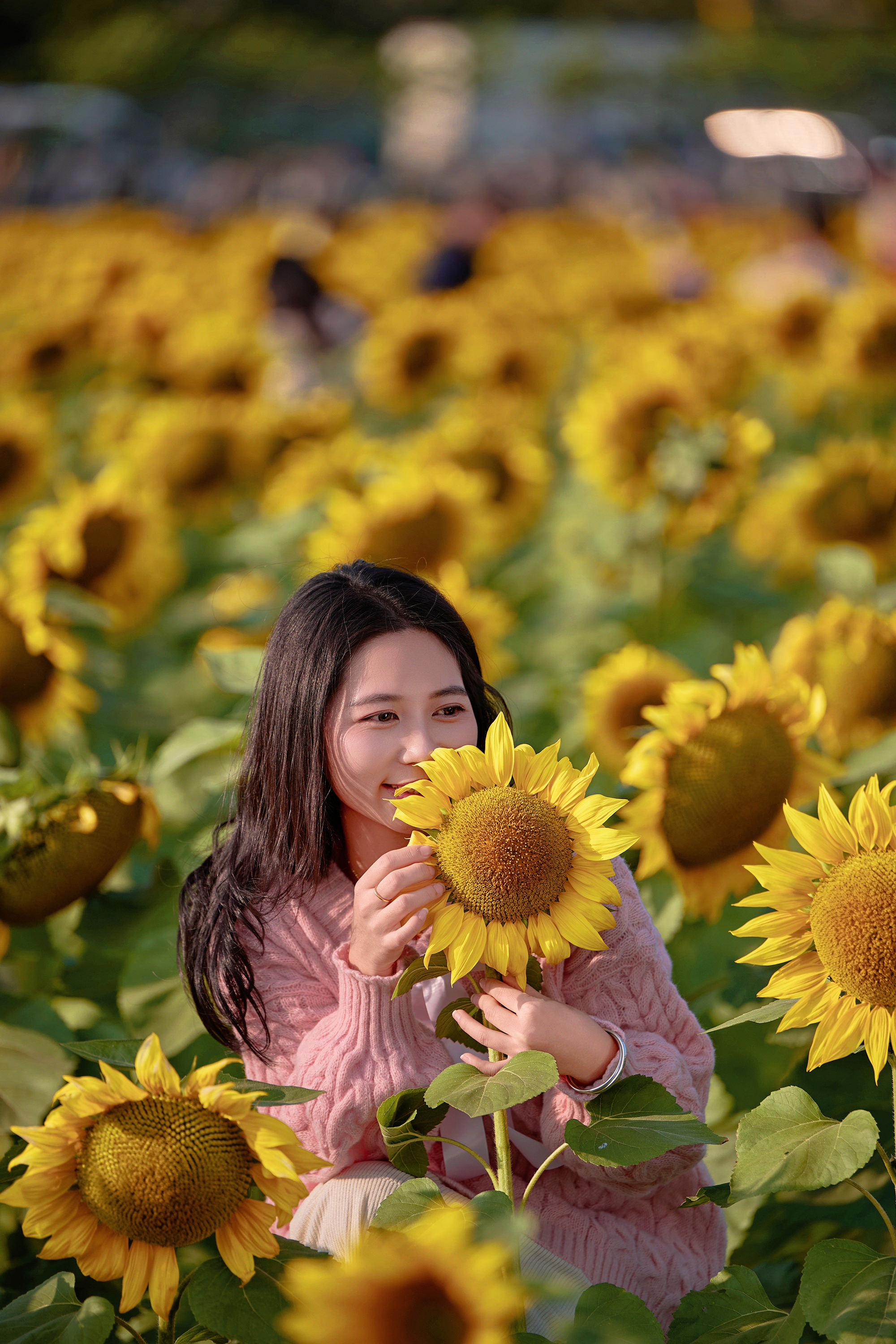 图片[8]-东莞万江葵花海🌻🌟阳光花摊葵花田🌟-摄之社