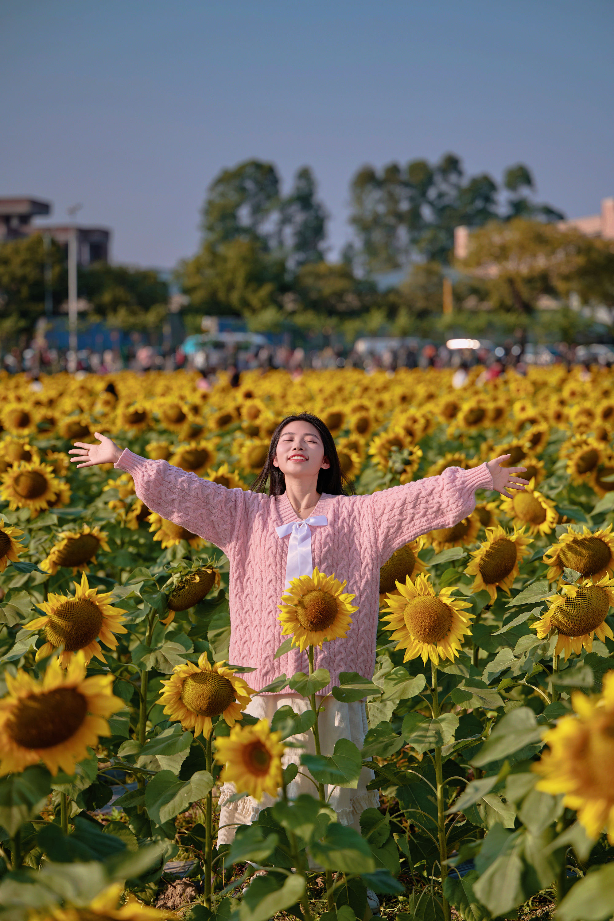 东莞万江葵花海🌻🌟阳光花摊葵花田🌟-摄之社