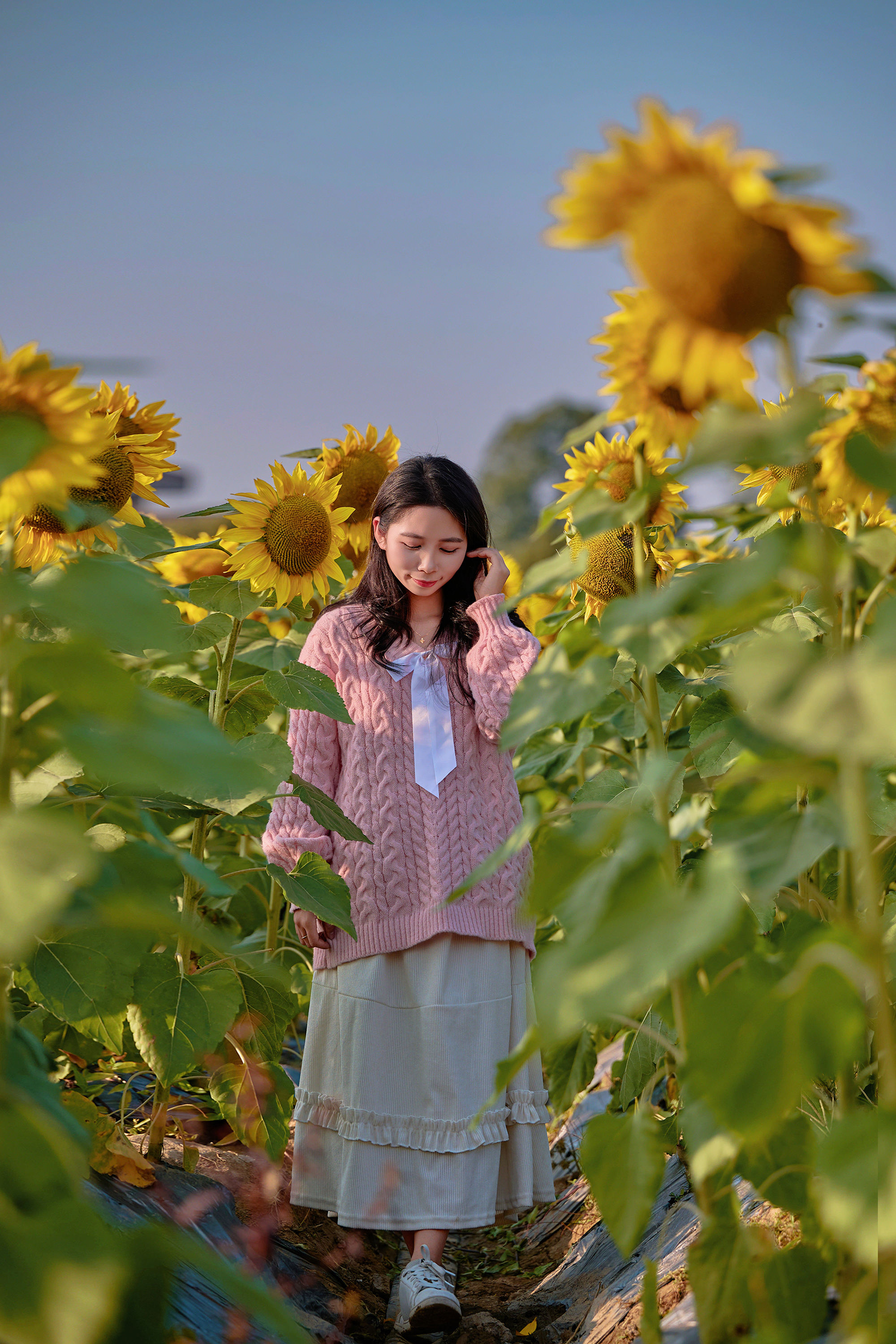 图片[9]-东莞万江葵花海🌻🌟阳光花摊葵花田🌟-摄之社