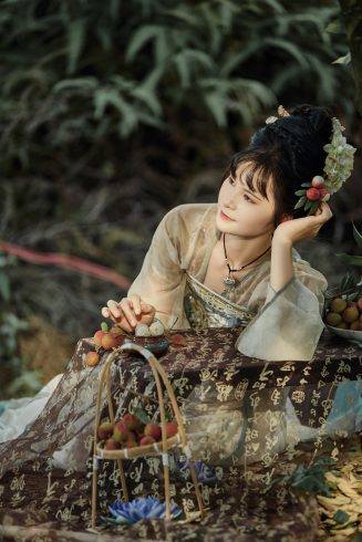 荔枝园荔枝汉服 | 今日份的甜，是荔枝味的！ ✨-摄之社