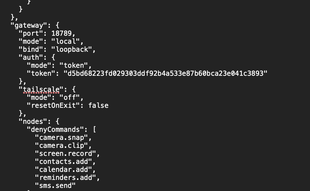 图片[19]-使用零刻mini主机/群晖/Macmini 用docker部署OpenClaw喂饭级踩坑详细教程｜以及多用户多Agent对接-摄之社